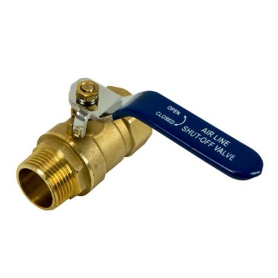 Image showing  3/4 in. Female x 3/4 in. Male Ball Valve, 250 PSI