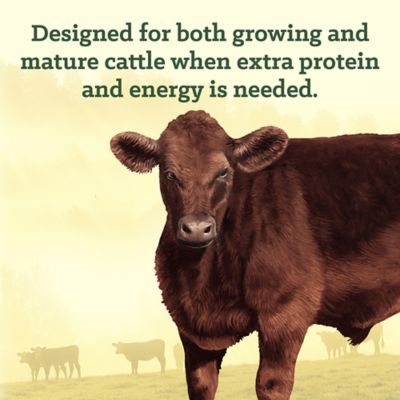 Image showing  15% Commodity Pelleted Cattle Feed, 50 lb. Bag