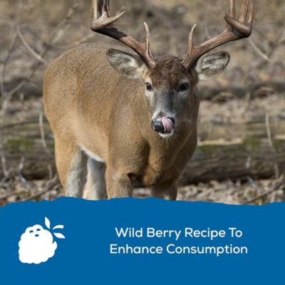 Image showing  Deer Block, 30.3 lb. Block