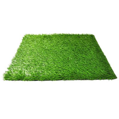 Image showing  Grass Potty Turf Replacement Grass for Dogs and Puppies, 20 in. x 30 in.