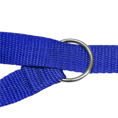 Image showing  Slip Lead Dog Leashes, 6 ft., 6-Pack