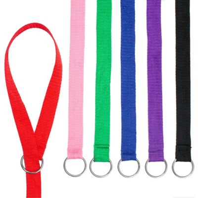 Downtown Pet Supply Slip Lead Dog Leashes, 6 ft., 12-Pack