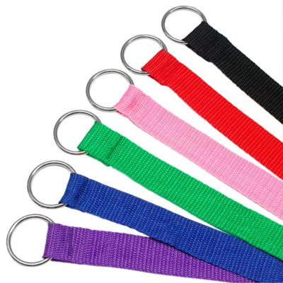 Image showing  Slip Lead Dog Leashes, 6 ft., 24-Pack