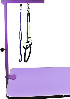 Downtown Pet Supply 27 in. Foldable Dog Grooming Arm with Clamp with Grooming Loop and Haunch Holder, Purple