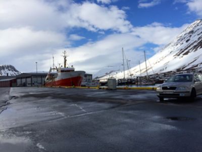 Image showing  Cod Skin Rolls Dog Chew Treats, 3 oz.