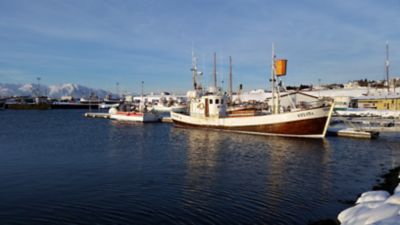 Image showing  Mini Cod Fish Chips Dog Chew Treats, 3 oz.