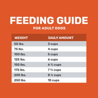 Image showing 5 th 4health Grain Free Large Breed Adult Turkey Formula Dry Dog Food