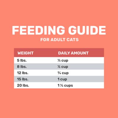 Image showing 5 th 4health with Wholesome Grains Adult Indoor/Outdoor Salmon and Rice Formula Dry Cat Food