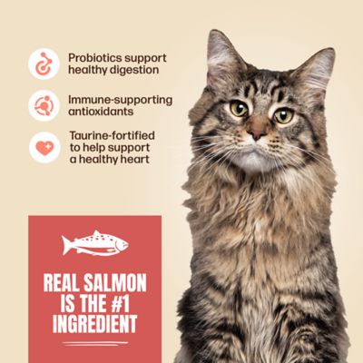 Image showing  Adult Indoor/Outdoor Salmon and Rice Formula Dry Cat Food