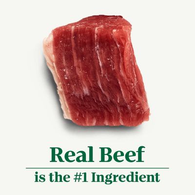 Image showing 5 th Nutro Premium Loaf Tender Beef, Sweet Potato & Carrot Recipe Wet Dog Food, 12.5 oz.