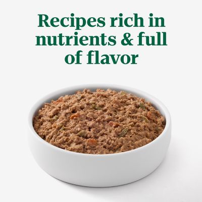 Image showing 6 th Nutro Premium Loaf Tender Beef, Sweet Potato & Carrot Recipe Wet Dog Food, 12.5 oz.