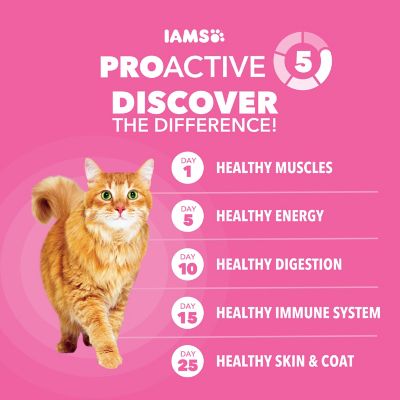 Image showing 5 th Iams ProActive Health Adult Indoor/Outdoor Sensitive Digestion and Skin Turkey Recipe Dry Cat Food