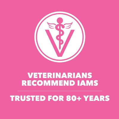 Image showing 7 th Iams ProActive Health Adult Indoor/Outdoor Sensitive Digestion and Skin Turkey Recipe Dry Cat Food