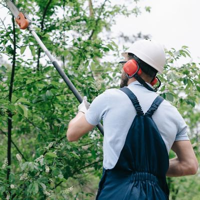 Image showing  10 in. Semi-Chisel Chainsaw Chain, 3/8 in. Pitch, 0.043 in. Gauge, 40 Drive Links