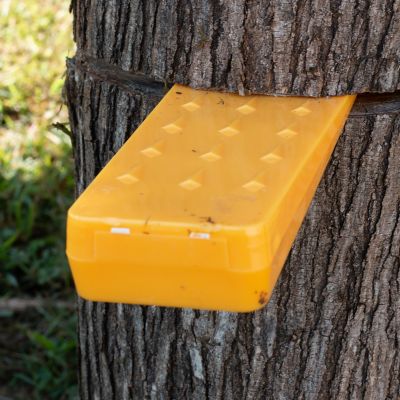 Image showing  8 in. Chainsaw Felling Wedge