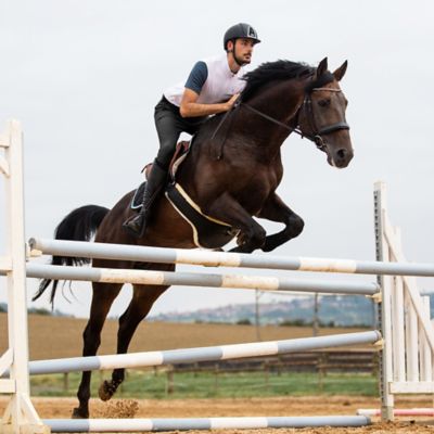 Image showing  Men's Grand Prix Full-Seat Breeches, Silicone Grip, 36261