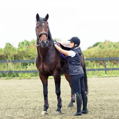 Image showing  Women's Grand Prix Knee-Patch Breeches, Silicone Grip, 36272