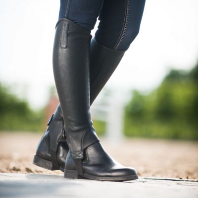 Image showing  Unisex Desta Synthetic Half Chaps