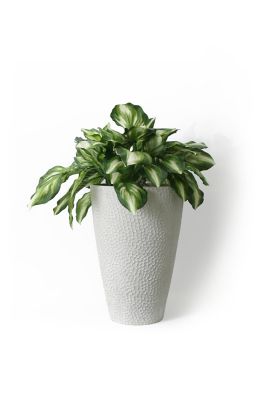 Image showing  Stone Valencia Hammered Texture Planter