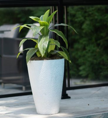 Image showing  Stone Valencia Hammered Texture Planter