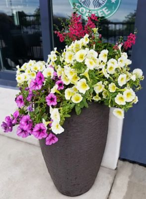 Image showing  0.848 cu. ft. Plastic Athena Self-Watering Planter