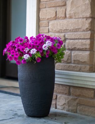 Algreen 0.848 cu. ft. Plastic Athena Self-Watering Planter