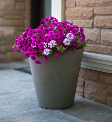 Algreen 7.79 gal. Plastic Crete Self-Watering Planter