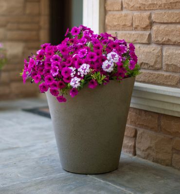 Image showing 3 th Algreen 7.79 gal. Plastic Crete Self-Watering Planter