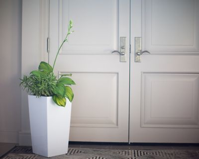 Image showing  Polypropylene Modena Square Self-Watering Planter