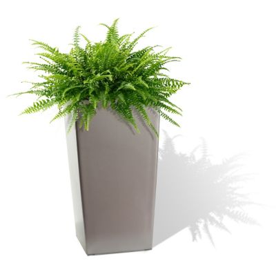 Image showing  Polypropylene Modena Square Self-Watering Planter