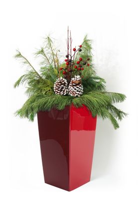 Image showing  Polypropylene Modena Square Self-Watering Planter