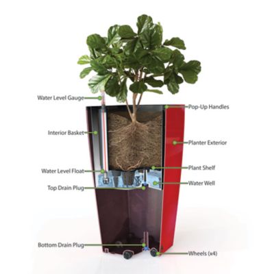 Image showing  Polypropylene Modena Square Self-Watering Planter