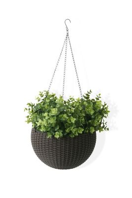 Algreen Wicker Self-Watering Hanging Basket Planters, 2 pc.