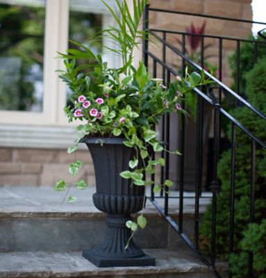 Image showing  Acerra Urn Planter