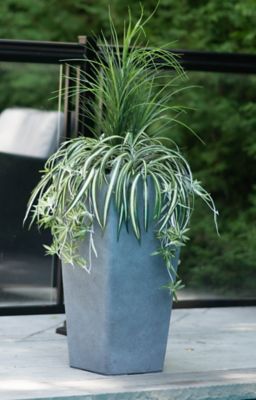 Image showing  Plastic Acerra Square Planter