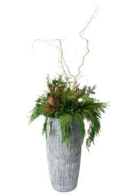 Image showing  Plastic Acerra White Bark Planter