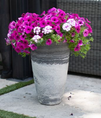 Image showing  Stone Acerra Tall Curve Vase Planter