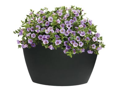 Image showing  35 gal. Plastic Hampton Planter and Pond