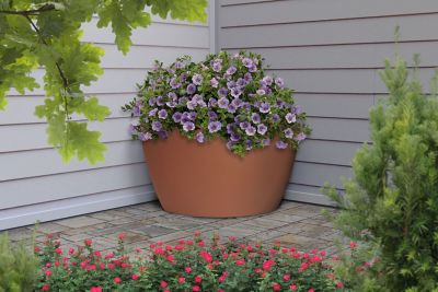 Image showing  35 gal. Plastic Hampton Planter and Pond