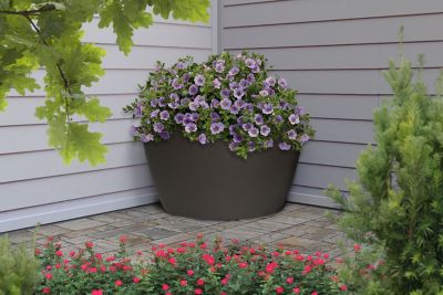 Image showing  35 gal. Plastic Hampton Planter and Pond