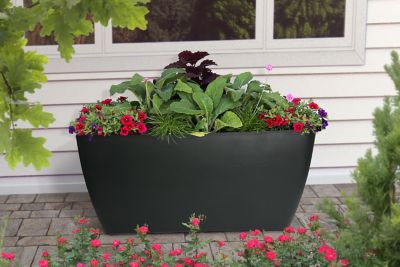 Algreen 50 gal. Plastic Manhattan Planter and Pond