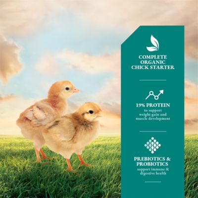 Image showing  Organic 19% Starter/Grower Crumbled Chicken Feed, 5 lb. Bag