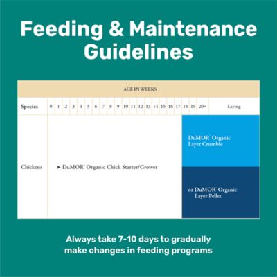 Image showing  Organic 19% Starter/Grower Crumbled Chicken Feed, 5 lb. Bag