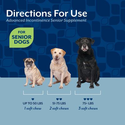Image showing 5 th NaturVet Senior Advanced Incontinence Soft Chews Supplement for Dogs