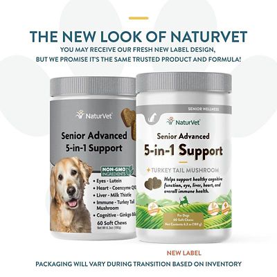 Image showing  Senior Advanced 5-in-1 Support Soft Chews for Dogs