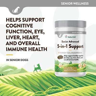 Image showing  Senior Advanced 5-in-1 Support Soft Chews for Dogs