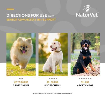 Image showing  Senior Advanced 5-in-1 Support Soft Chews for Dogs