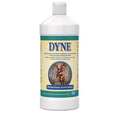 PetAg Dyne High Calorie Liquid Nutritional Supplement for Dogs, Multivitamins for Weight Gain, Recovery, Nursing, 32 oz.