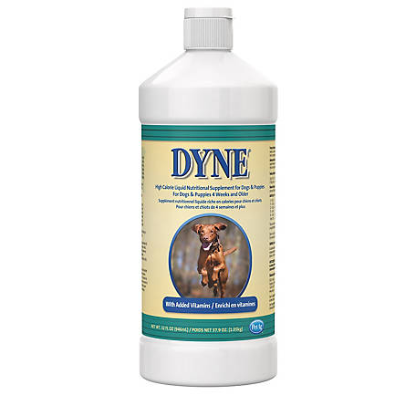 Dyne High Calorie Liquid Nutritional Supplement for Dogs, Multivitamins for Weight Gain, Recovery, Nursing, 32 oz.