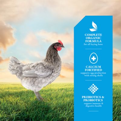 Image showing  Organic 16% Egg Layer Crumbled Chicken Feed